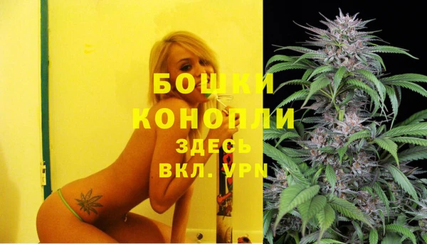стаф Ельня