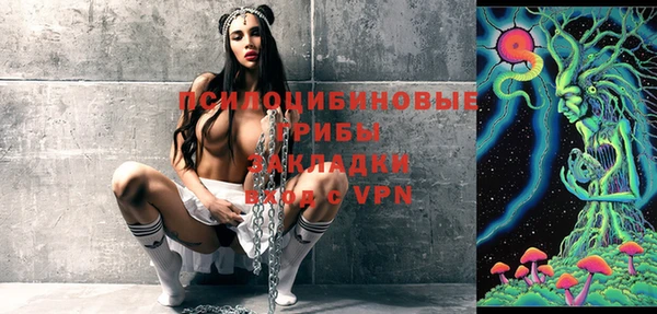 амф Гусиноозёрск