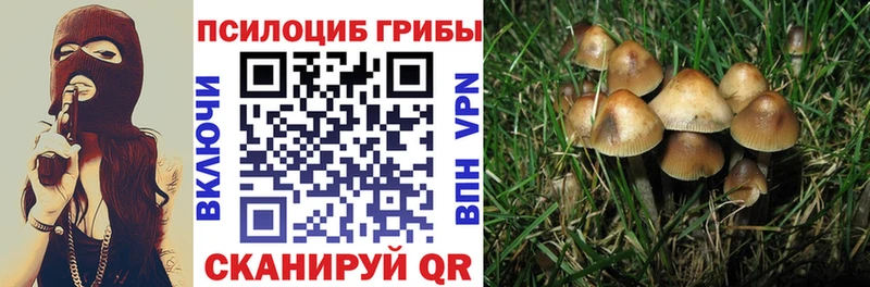 Псилоцибиновые грибы прущие грибы  МЕГА tor  Соликамск 
